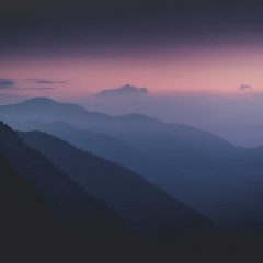 MEDIOS DE TRANSPORTE